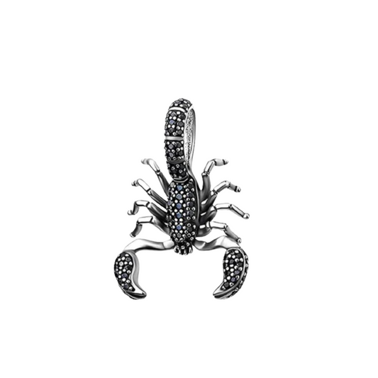 Scorpion Charm